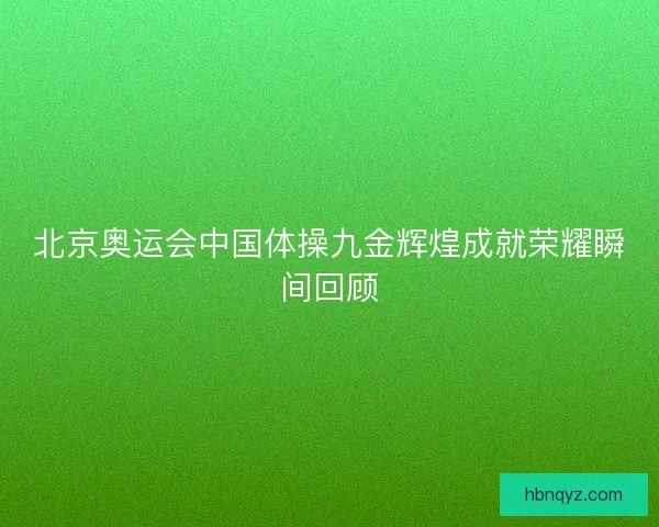 北京奥运会中国体操九金辉煌成就荣耀瞬间回顾